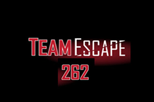 Teamescape 262 hotsell